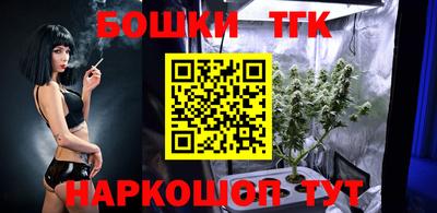 молекула духа Будённовск
