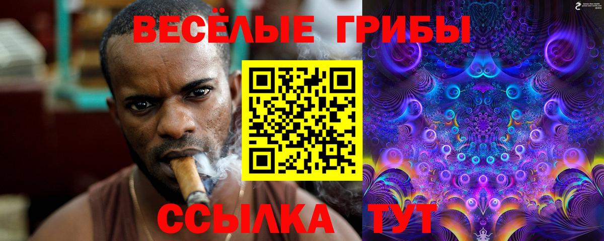 Галлюциногенные грибы Psilocybe Крымск
