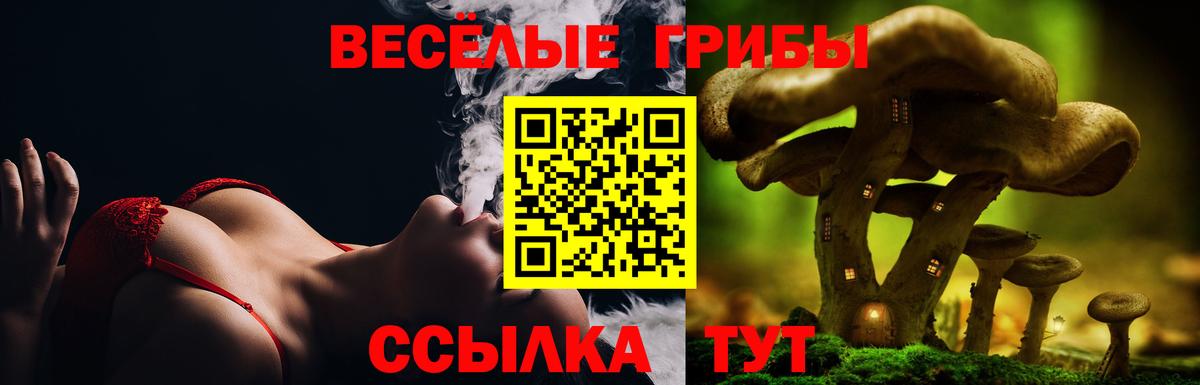 Галлюциногенные грибы ЛСД  Вход с VPN  Псилоцибиновые грибы Psilocybe  Крымск 